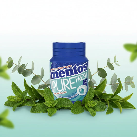 Mentos gum Pure Fresh Eucalyptus - Sans Sucres