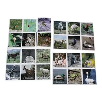 Loto nature - Les animaux