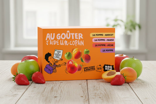 Gourdes de fruits panachés SSA 90gx12